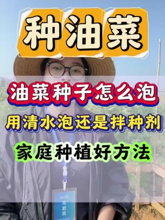 #油菜种植 #油菜拌种剂 #农技推广 #三农流量扶持计划 #农业技术推广
