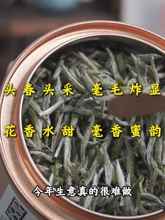 花香水甜 毫香蜜韵,头春头采 银如似雪,嫩芽嫩叶 香气高扬,颗颗带马蹄结小鱼叶#召唤茶友 #口粮茶推荐 #今天你喝茶了吗