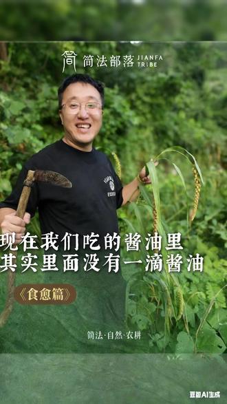 现在我们吃的酱油其实里面没有一滴酱油!#李丙熙 #家庭食愈 #自然农耕 #传统酱油