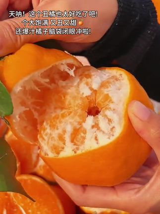 天呐!!这个四川丑橘好吃哭了!个大饱满,又丑又甜,果肉晶莹剔透,颗颗爆珠!每一口都好过瘾,我妈直夸好吃#新鲜采摘 #当季水果 #丑橘#耙耙柑#柑橘