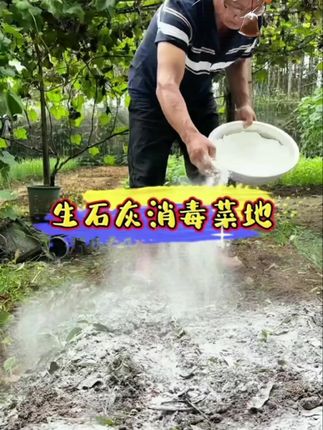 #土壤消毒 #土壤改良 #石灰粉 #生石灰粉 #土壤板结