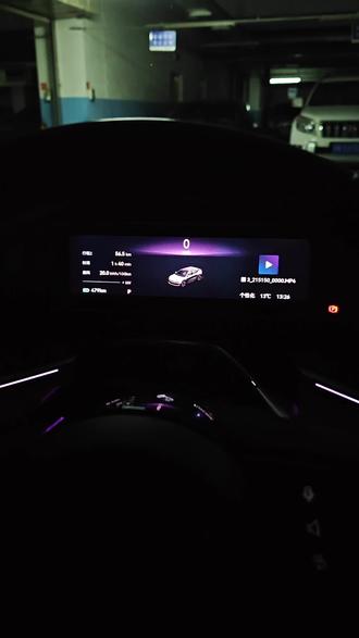 这转向声音可还行#极氪001