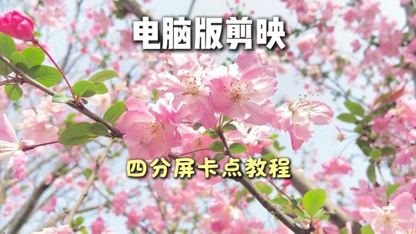 今天来学习超详细的;四分屏剪辑教程 #四分屏卡点 #剪辑教程 #视频剪辑 #剪映 #零基础学剪辑