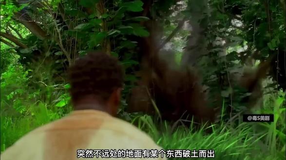 经典高分美剧Lost档案第二季全集解说! 诡异小岛惊现地下密室,里面还印着八卦图案,上面隐藏着未知的秘密!