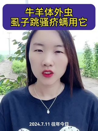 #农村养羊#养羊人#养殖#自繁自养#农村创业养殖