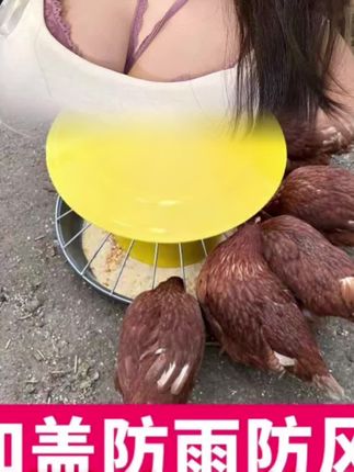 喂家禽鸡鸭鹅喂料桶自动采食器重力下料家禽饲料槽喂鸡神器散养 #家禽自动喂食器 #鸡鸭鹅喂食槽 #自动喂食器 #家禽饲料桶 #喂鸡神器 @DOU+小助手