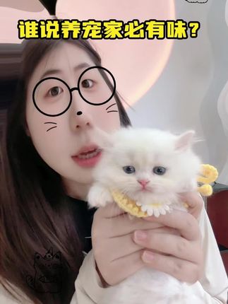 生物酶拆异味不遮臭!摩啃 4斤装送喷壶,猫舔没事,半年够用超划算#猫咪 #除臭 #可爱 #宠物 #铲屎官的乐趣