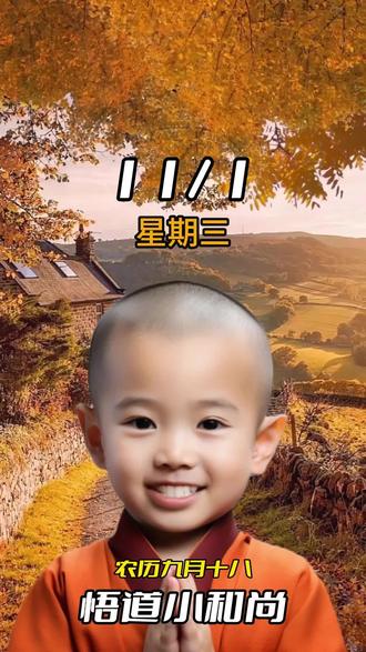 今天是11月1日,农历九月十八。星期三,早安!师傅说:十一月的第一天,秋风清爽,秋叶飘飘,带来新的希望和机会。让我们一起迎接十一月的好运,愿幸福如秋叶般飘洒。#小和尚 #接福接财接好运 #见者好运 #佛渡有缘人 #我家臭小子
