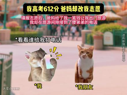 我高考考了612分,爸妈竟然偷改我的志愿! #猫meme故事 #小说 #万万没想到 #意想不到的结局 #高考志愿