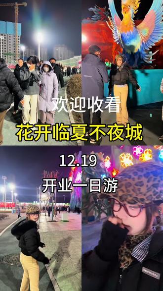 白天有很多节目主播不想去看,然后晚上就过去逛了逛,人依旧很多#花开临夏不夜城#花开临夏#临夏特色