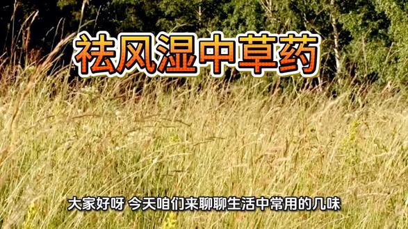 #健康 祛风湿中草药