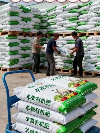 发酵羊粪有机肥 养花种菜总是长不好?试试这款「黄金羊粪有机肥」!纯羊粪发酵,富含天然氮磷钾,改良土壤、促根 壮苗!疏松透气不板结,瓜果蔬菜更香甜,花卉绿 植爆盆快!天然无添加,安全环保,新手老手都能 用颗粒细腻易吸收,长效缓释肥力足~#羊粪有机 肥 #园艺好 养花种菜#有机肥推荐#抖音助农