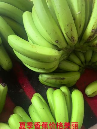 夏季绿皮就熟了