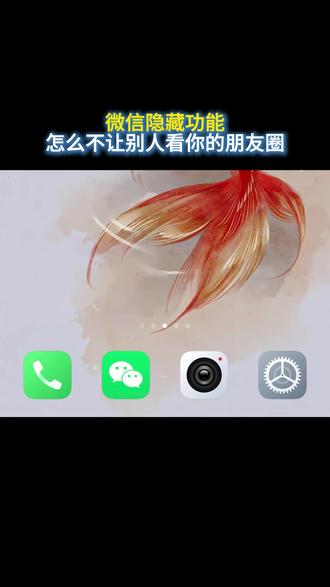 微信隐藏功能,怎么不让别人看你的朋友圈 #微信隐藏功能 #小技巧 #涨知识 #微信使用小功能 #知识前沿派对