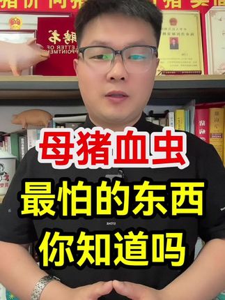 养猪技术 #养猪 #养猪人 #母猪 #猪价 #新农人计划2025