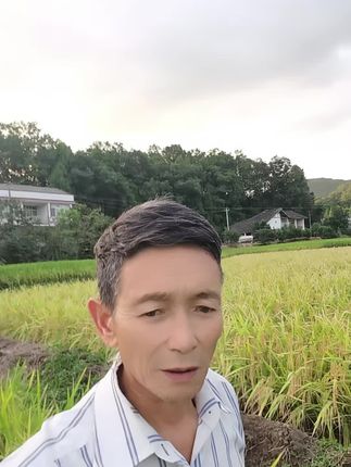 风里藏稻香,山间伴蝉鸣:清晨生薄雾,傍晚染红霞,美丽前锋欢迎你!乡村烟火,我的乡村生活。快乐农村人;何哥