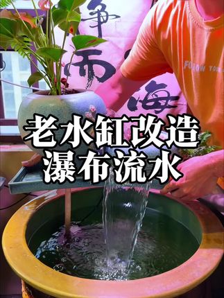 奶奶闲置的老水缸不要丢,搭配一个水泵和水罐,美观好看,鱼缸效果不输几万设备#养鱼日记