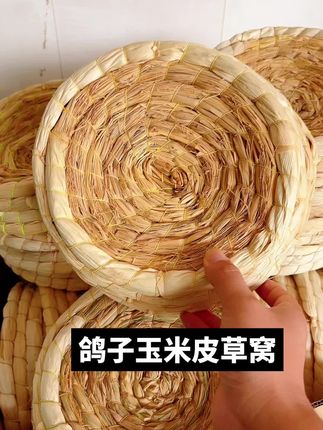 #鸽子玉米皮草窝#鸽子草窝#鸽子用品