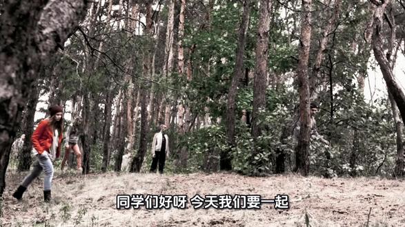 四年级下册语文第一课古诗三首。