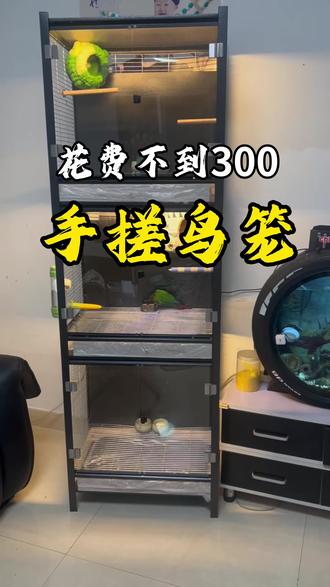 #鹦鹉笼 #鹦鹉 diy鸟笼材料全套#温馨的小窝 花费不到300 手搓鸟笼#diy