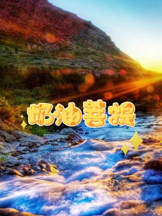 #菩提 #手链 #菩提手串