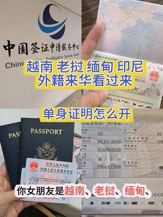 #签证 #印尼 #越南 #老挝 #缅甸 单身证明必不可少,不明白的打在评论区