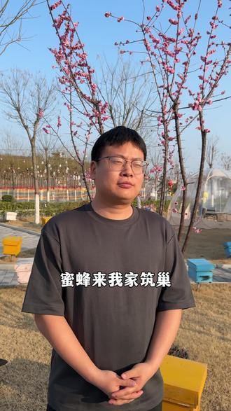 蜜蜂来家里筑巢是什么征兆 #蜜蜂