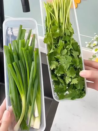 这款长方形面条收纳盒,食品级厨房杂粮挂面保鲜盒,带盖还能收纳小葱香菜,密封严实不占地方,真的是一物多用#食物保鲜 #厨房好物 #收纳好物推荐 #好物分享🔥