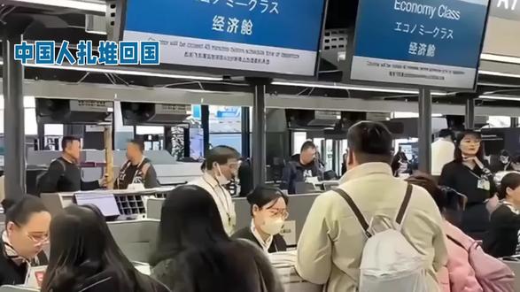 在日本,中国人扎堆回国#抖音小助手