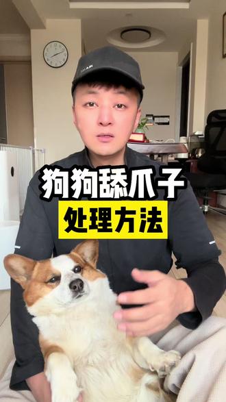 狗狗舔爪子处理方法 #养狗的乐趣 #养狗人 #新手养狗 #养狗经验分享 #养狗好物