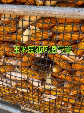 #玉米防霉神器 #玉米防霉通风管 #玉米防霉
