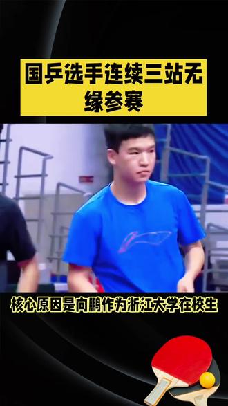 突发!国乒向鹏连续三站WTT缺席,真相并非竞争落选