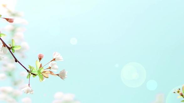 驻留芳华3——更年期心理,悦纳自我 驻留芳华3——更年期心理,悦纳自我