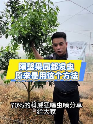 秋梢防好虫害,用对方法也是很简单的,看这里#三农 #农业种植 #噻虫嗪颗粒