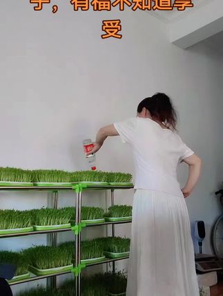大家来说说老公说的有没道理?!!!!