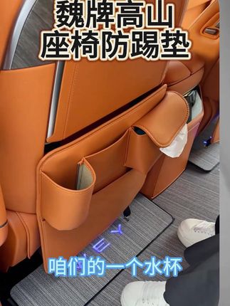 25款魏牌高山789座椅防踢垫多功能内饰纸巾袋二后排防刮储物收纳#魏牌高山 #座椅防踢垫 #汽车改装升级 #汽车用品 #汽车配件