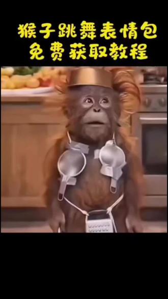 猴子跳舞表情包,这也太搞笑了吧,快去发给你的损友吧#剪映#猴子#表情包#跳舞#免费教程