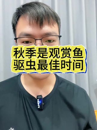 秋季养鱼人最怕的一件事#观赏鱼 #养鱼人 #养鱼经验分享 #新手养鱼 #观赏鱼驱虫 @DOU+小助手