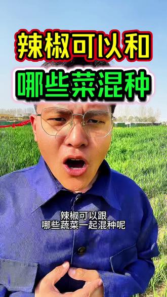 辣椒可以和哪些蔬菜一起混种?#辣椒种植 #三农 #辣椒种植 #分享农业知识帮农民增产增收 #农业种植