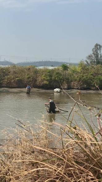 同事一句:钓不上来,要不把水抽干抓鱼
立马就把好几年没管过的鱼塘抽干了
主打一个快乐体验