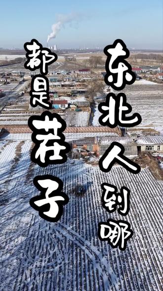 东北人到哪都是茬子#东北人 #记忆