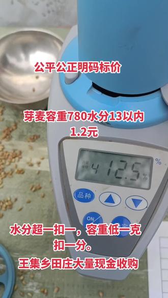 大量现金收购小麦,容重780水分13以内,1.2元。水分超一扣一,容重低一克扣一分,王集乡田庄西头
