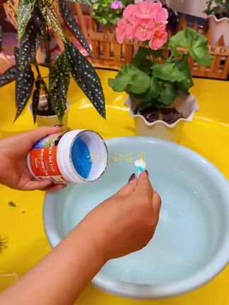 学会给植物浇水植物才能活,活了之后再考虑怎么养好 #壮根原液 #养花小知识 #分享家庭养花知识  #好物推荐🔥 #我的花花草草🌸🌸