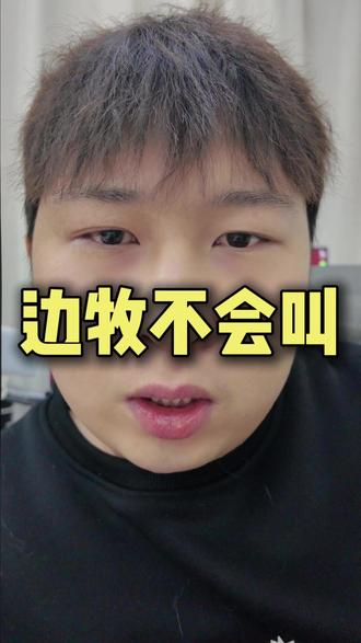 你家边牧会叫不? #养狗经验分享 #新手养狗