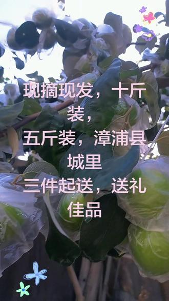 现摘现发,青枣礼盒装