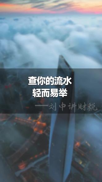 查流水,就是轻而易举的事情!#财税 #老板 #财税知识