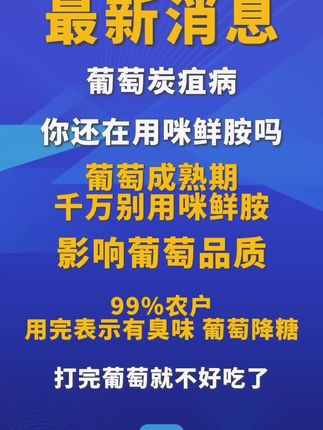 葡萄炭疽不要盲目用药#葡萄炭疽病 #葡萄管理 #葡萄种植户 #家园农业 #新农人计划2025