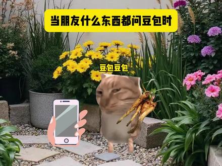 当朋友什么东西都问豆包时#猫meme #相信ai的下场 #搞笑