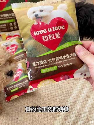 专为小型犬研发的专用粮来了。就是粒粒爱#狗粮推荐 #粒粒爱狗粮