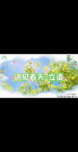 一起来看看小朋友能立蛋成功吗?#每天冷知识 #冷知识大全 #幼儿园 #学前教育